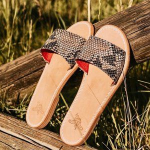 Freebird Golden Size 9 Black and White Snake